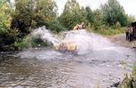 0801_104.jpg