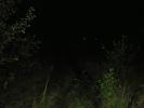 DSCN0958.JPG